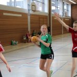 2017_02_19 Landesliga Frauen und Jugend 19